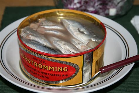 smelliest fish in the world|Americans Try Surströmming (The Smelliest Food In The World)